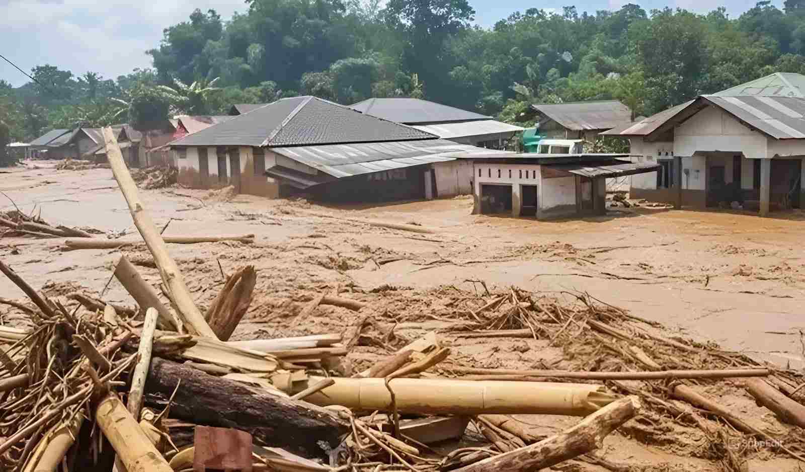 Banjir Bandang Sumatera dan Alarm Krisis Agraria Nasional - SULUH PEREMPUAN